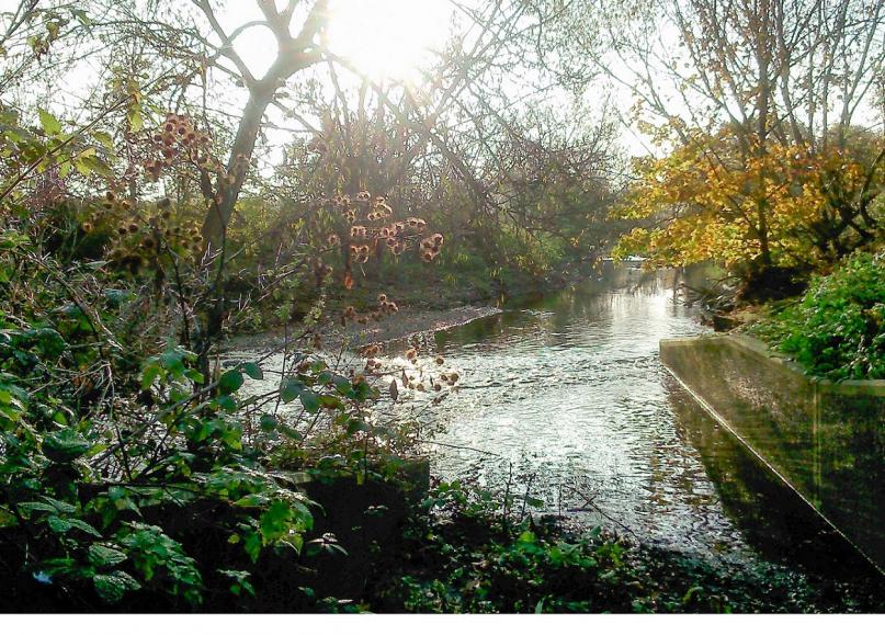 Brent Riverside Clean-up and Preparation