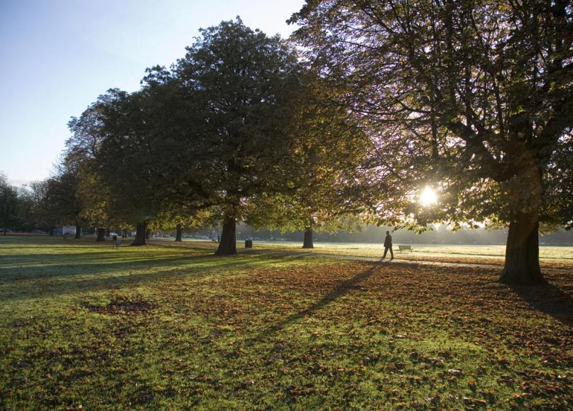 Lighting the main path in Acton Park