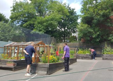 Drop-in community gardening – Berrymede